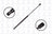 FCS 87017 Liftgate Lift Support