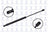FCS 87051 Liftgate Lift Support