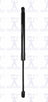 FCS 87066 Tailgate Lift Support
