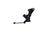 FCS HS013 Suspension Ride Height Sensor - Rear Left