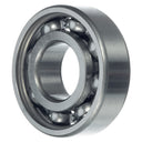 FAG 6302 Generator Drive End Bearing - Front