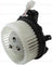 Four Seasons 75162 HVAC Blower Motor - Front