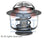 Facet 7.8417 Engine Coolant Thermostat