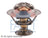 Facet 7.8945 Engine Coolant Thermostat