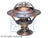 Facet 7.8948 Engine Coolant Thermostat