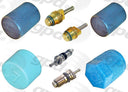 Global Parts 1321363 A/C System Valve Core and Cap Kit