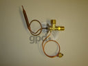 Global Parts 3411248 A/C Expansion Valve