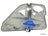 Genuine 1J5839461A Window Regulator - Rear Left