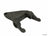 Genuine 99711671250 Clutch Fork
