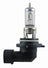 Hella 9006P50TB Daytime Running Light Bulb - Front or Low Beam
