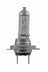 Hella H7P50TB Cornering Light Bulb