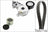INA FB04702K Accessory Drive Belt Tensioner Kit