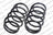 Lesjofors 4192540 Coil Spring - Front