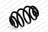 Lesjofors 4208402 Coil Spring - Rear