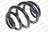 Lesjofors 5204249 Coil Spring - Rear