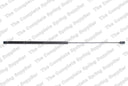 Lesjofors 8037205 Hood Lift Support