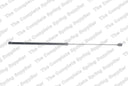 Lesjofors 8095021 Hood Lift Support