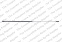 Lesjofors 8095024 Hood Lift Support