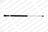 Lesjofors 8155439 Hatch Lift Support - Right