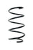 Suplex 06282 Coil Spring - Front