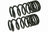 Mevotech SMS1706V Coil Spring Set - Front
