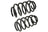 Mevotech SMS250148 Coil Spring Set - Front