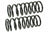 Mevotech SMS30031 Coil Spring Set - Front