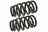 Mevotech SMS60045 Coil Spring Set - Rear