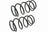 Mevotech SMS7510 Coil Spring Set - Front