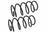Mevotech SMS7538 Coil Spring Set - Front