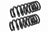 Mevotech SMS80551V Coil Spring Set - Rear