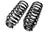 Mevotech SMS81061 Coil Spring Set - Rear
