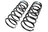 Mevotech SMS81394 Coil Spring Set - Front