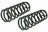 Mevotech SMS81667 Coil Spring Set - Rear