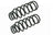 Mevotech SMS81677 Coil Spring Set - Rear