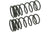 Mevotech SMS867V Coil Spring Set - Rear