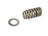 Mopar 68080909AB Engine Valve Spring Kit