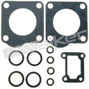 Walker 18071 Fuel Injector Repair Kit