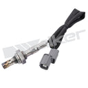 Walker 250-21031 Oxygen Sensor - Upstream