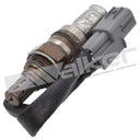 Walker 250-241283 Oxygen Sensor