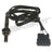 Walker 250-24823 Oxygen Sensor - Upstream