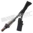 Walker 250-25130 Oxygen Sensor - Upstream, Upstream Left or Upstream Right