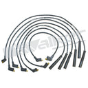Walker 924-1253 Spark Plug Wire Set