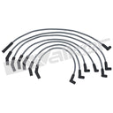 Walker 924-1299 Spark Plug Wire Set