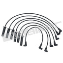 Walker 924-1300 Spark Plug Wire Set