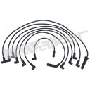 Walker 924-1361 Spark Plug Wire Set