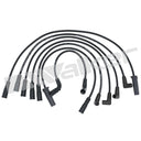 Walker 924-1362 Spark Plug Wire Set