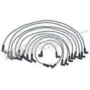 Walker 924-1441 Spark Plug Wire Set
