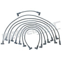 Walker 924-1512 Spark Plug Wire Set