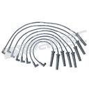 Walker 924-1524 Spark Plug Wire Set